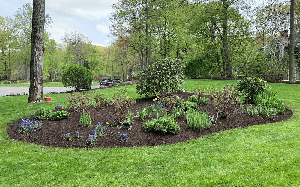Hartford Landscaping service Hartford Landscaping service